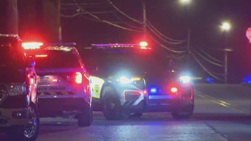 Police searching for two suspects after baseball bat attack and ...