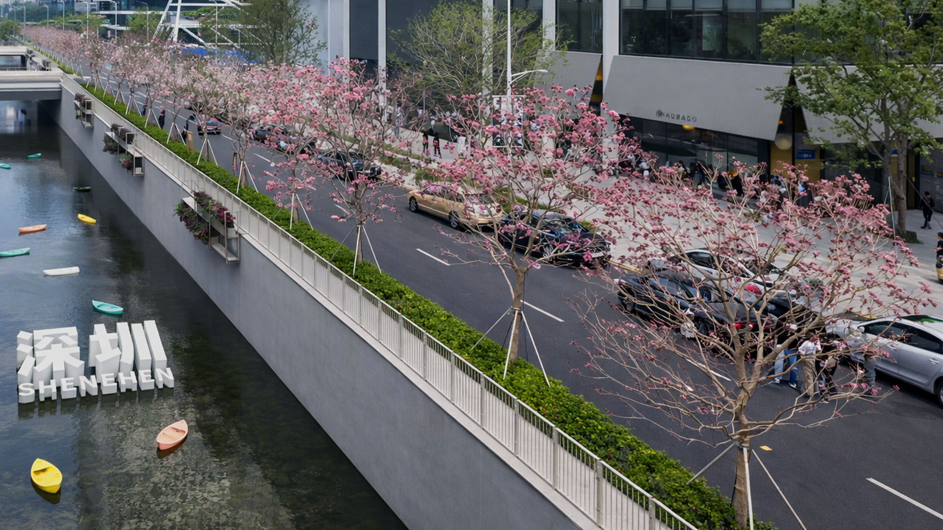 Esta rua à beira do canal na China fica colorida com árvores em flor