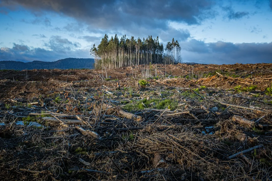 The growing concern around long-term climate stability