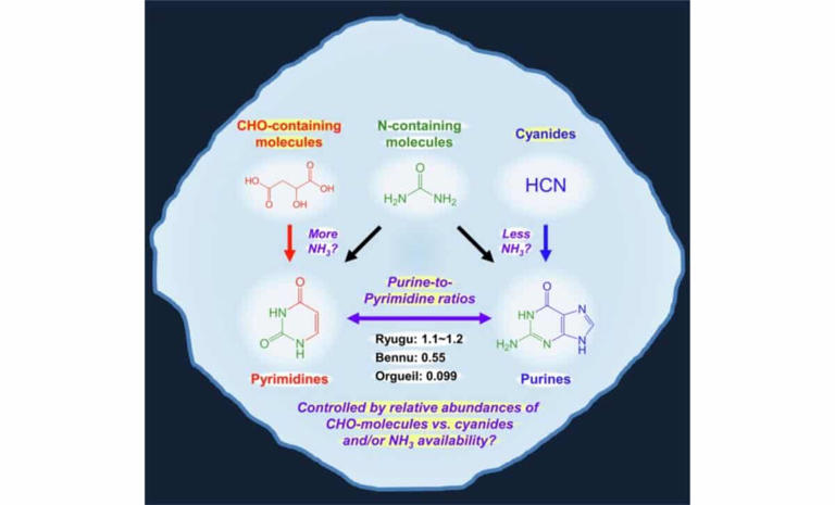 For the first time ever, all five letters of the genetic code were ...