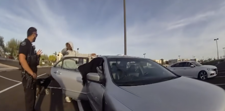 Dog left in hot car for hours — petition calls for safer pet spaces in ...