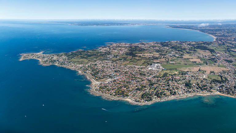 loire-atlantique-les-autorit-s-renoncent-sauver-un-cachalot-chou