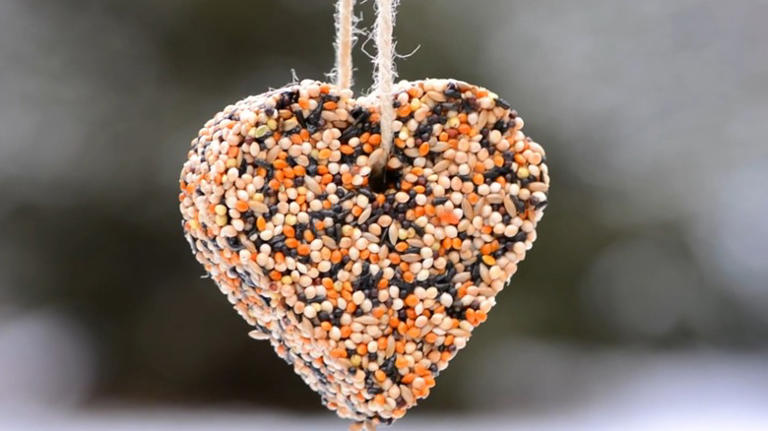 DIY clever bird-attracting features by repurposing these 15 common ...