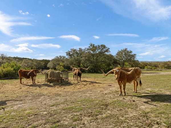 Mrs. Baird's family's Hill Country ranch hits market for $10.9 million