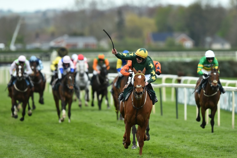 Will The Wise wins Topham as tragedy strikes Gold Dancer<br><br>