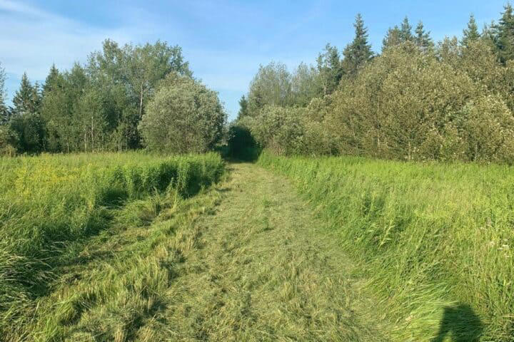 How to find homestead land: The beginner's guide