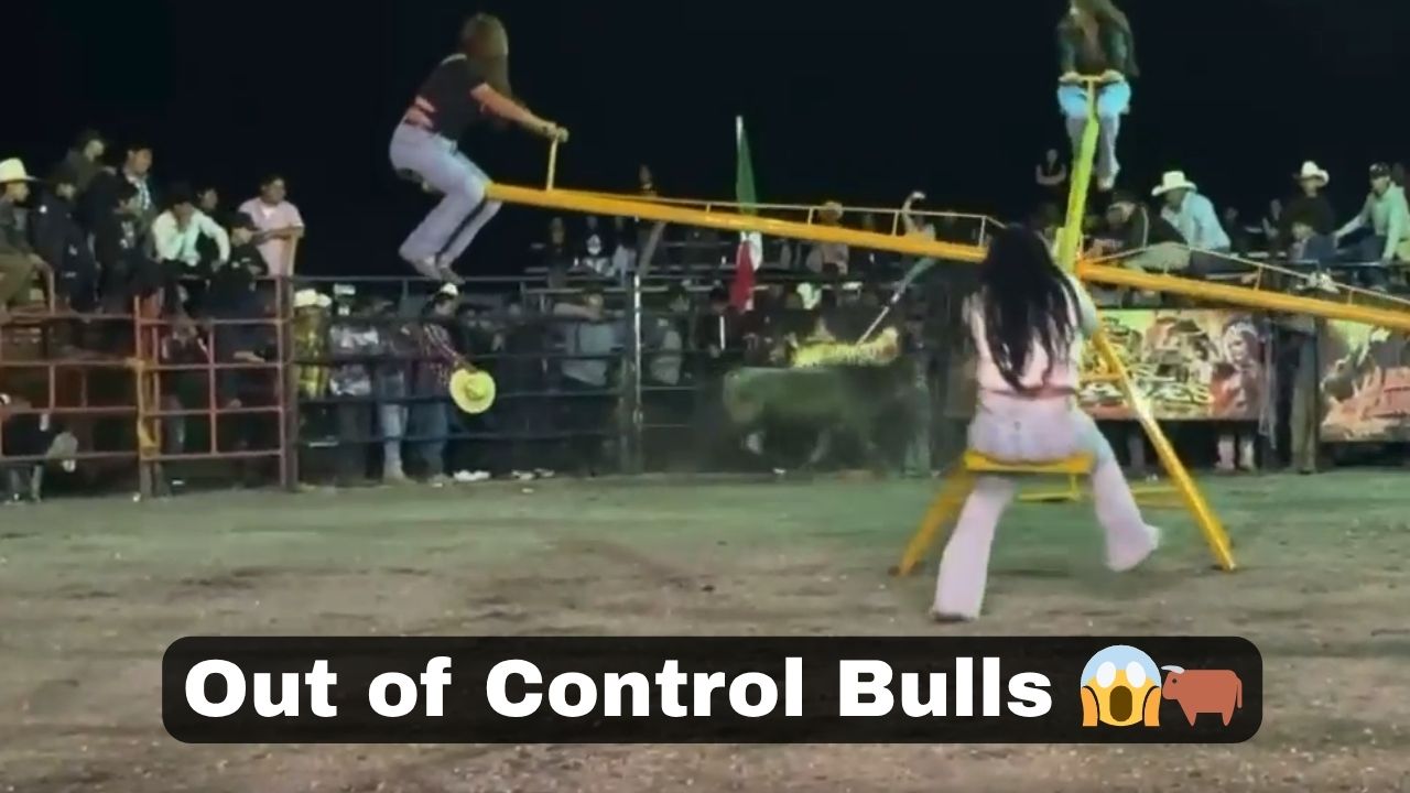 Bull rushes towards young girl before she is rescued