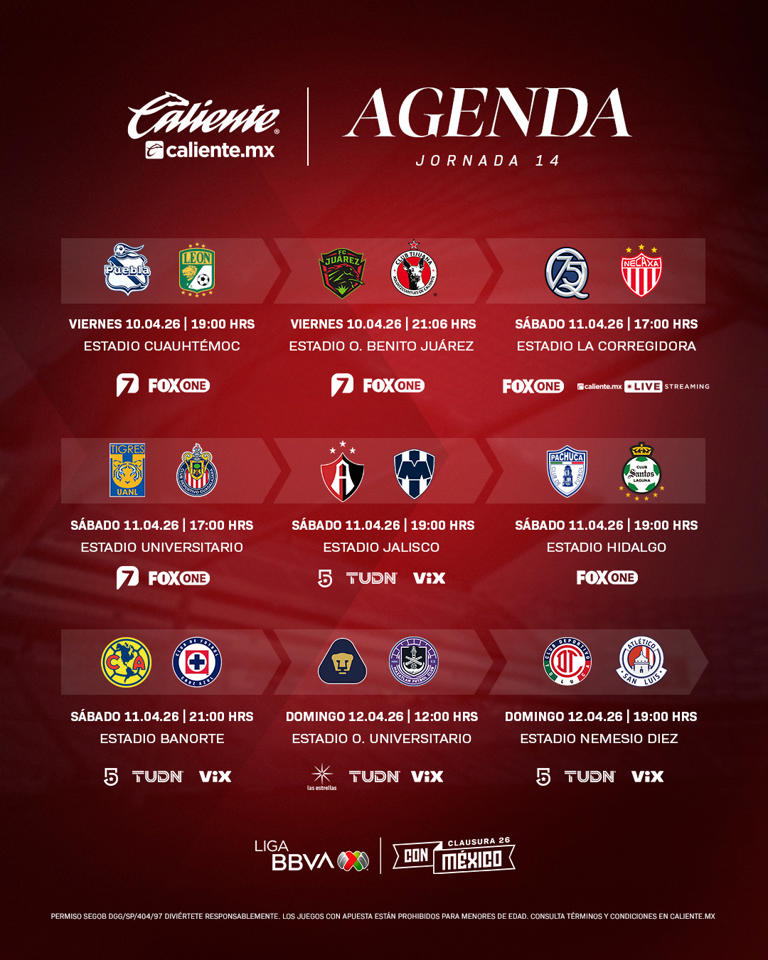 Jornada 14 Liga MX: horarios y canal de transmisión gratis, partidos ...