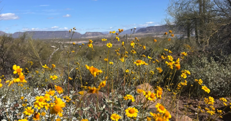 3 picture-perfect nature trails in Arizona for spring hiking