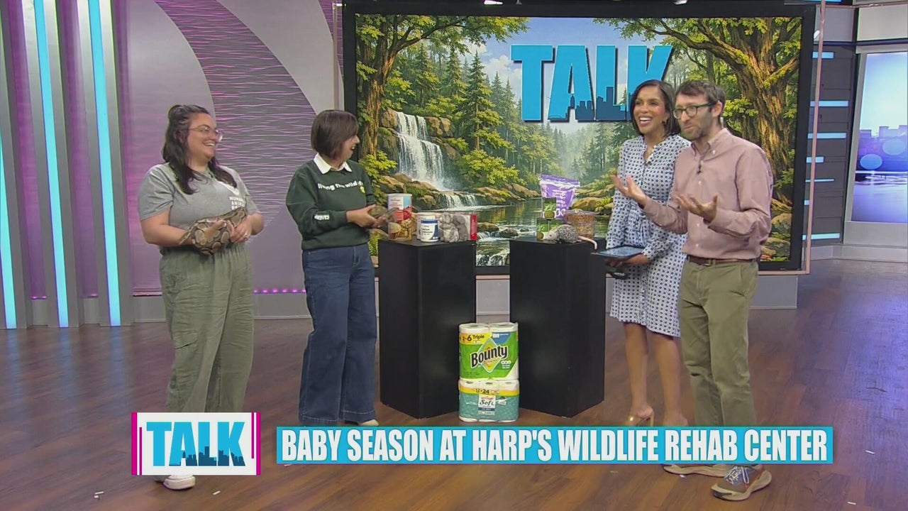 Baby season underway at Humane Animal Rescue of Pittsburgh's wildlife ...