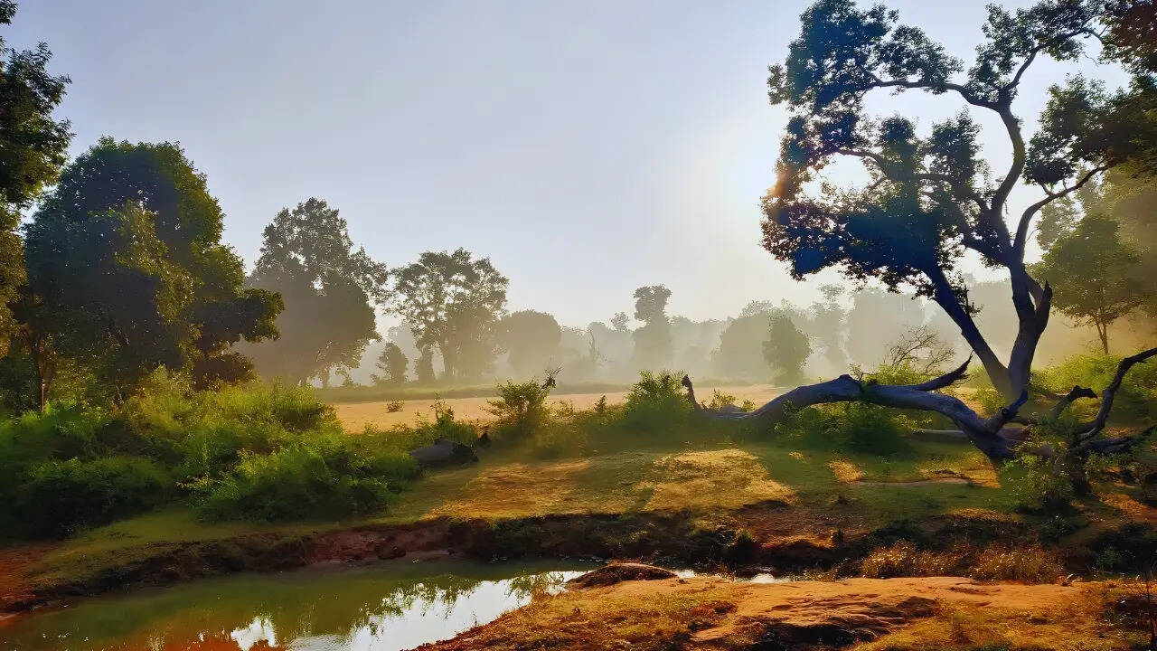 5 things that make Bandhavgarh National Park irresistible to nature lovers