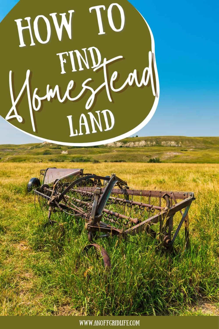 How to find homestead land: The beginner's guide