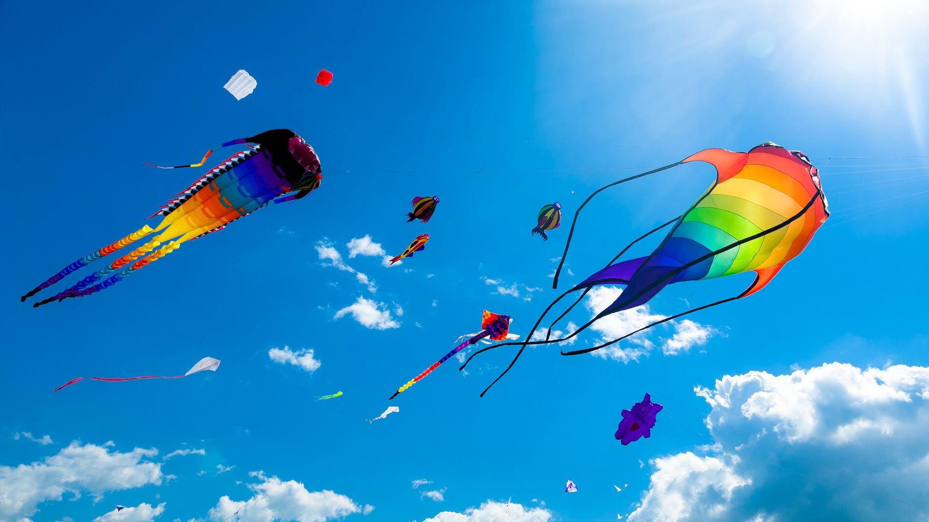 Flights of Fancy Festival canceled due to expected weather