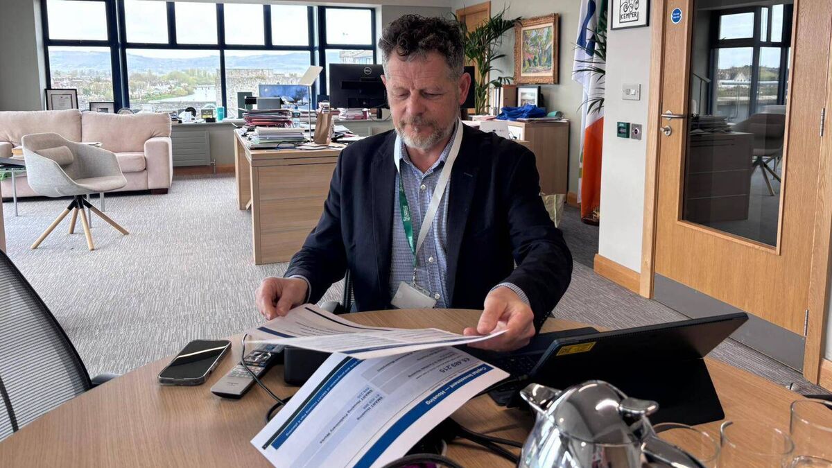 €360k set aside for four part-time consultants working on Limerick ...