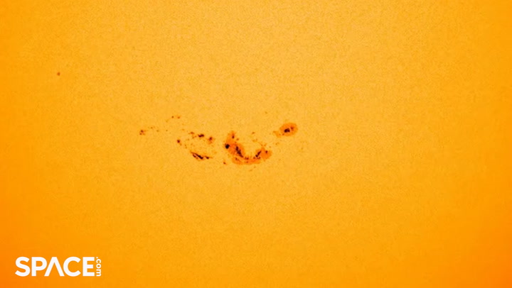 Sunspot AR3664 expands into a massive formation in time-lapse footage