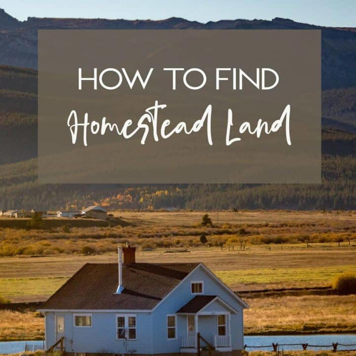 How to find homestead land: The beginner's guide