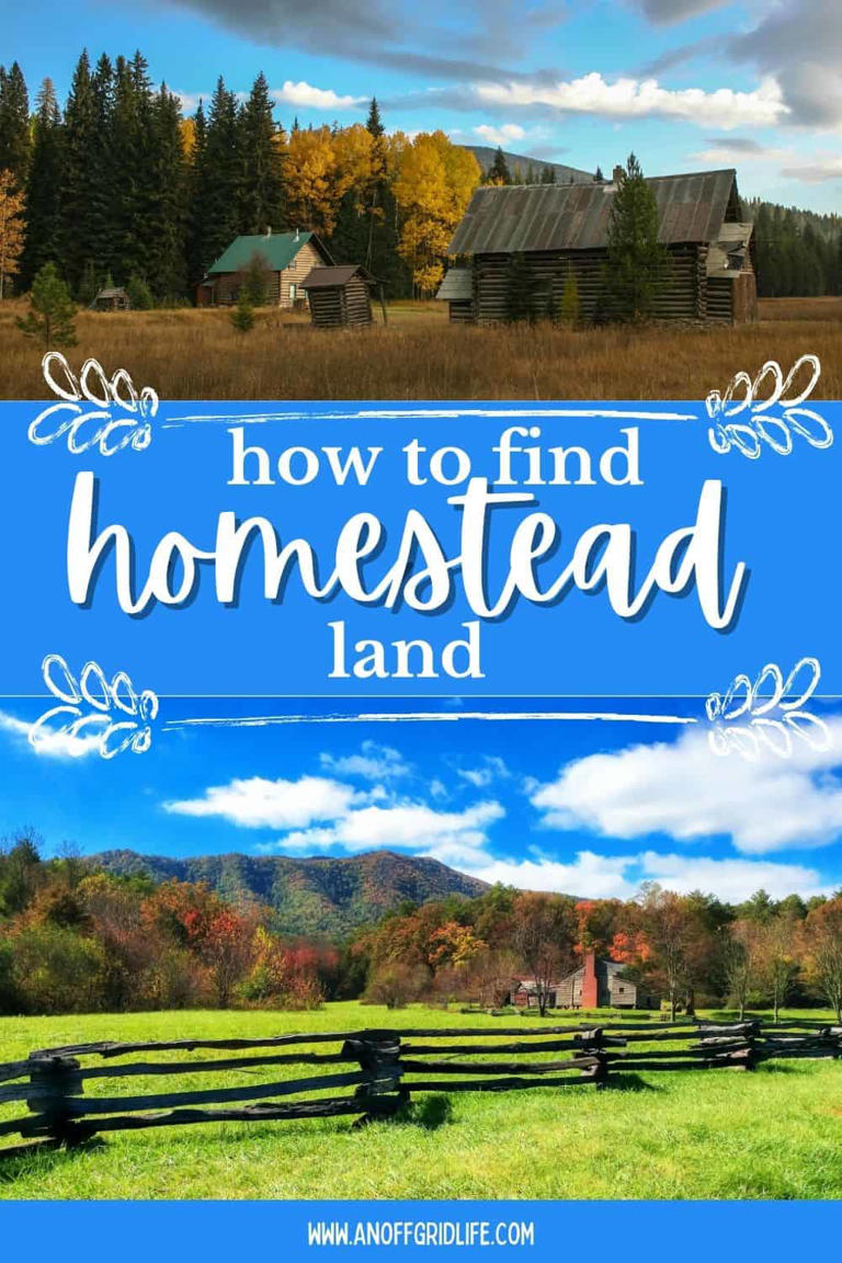 How to find homestead land: The beginner's guide