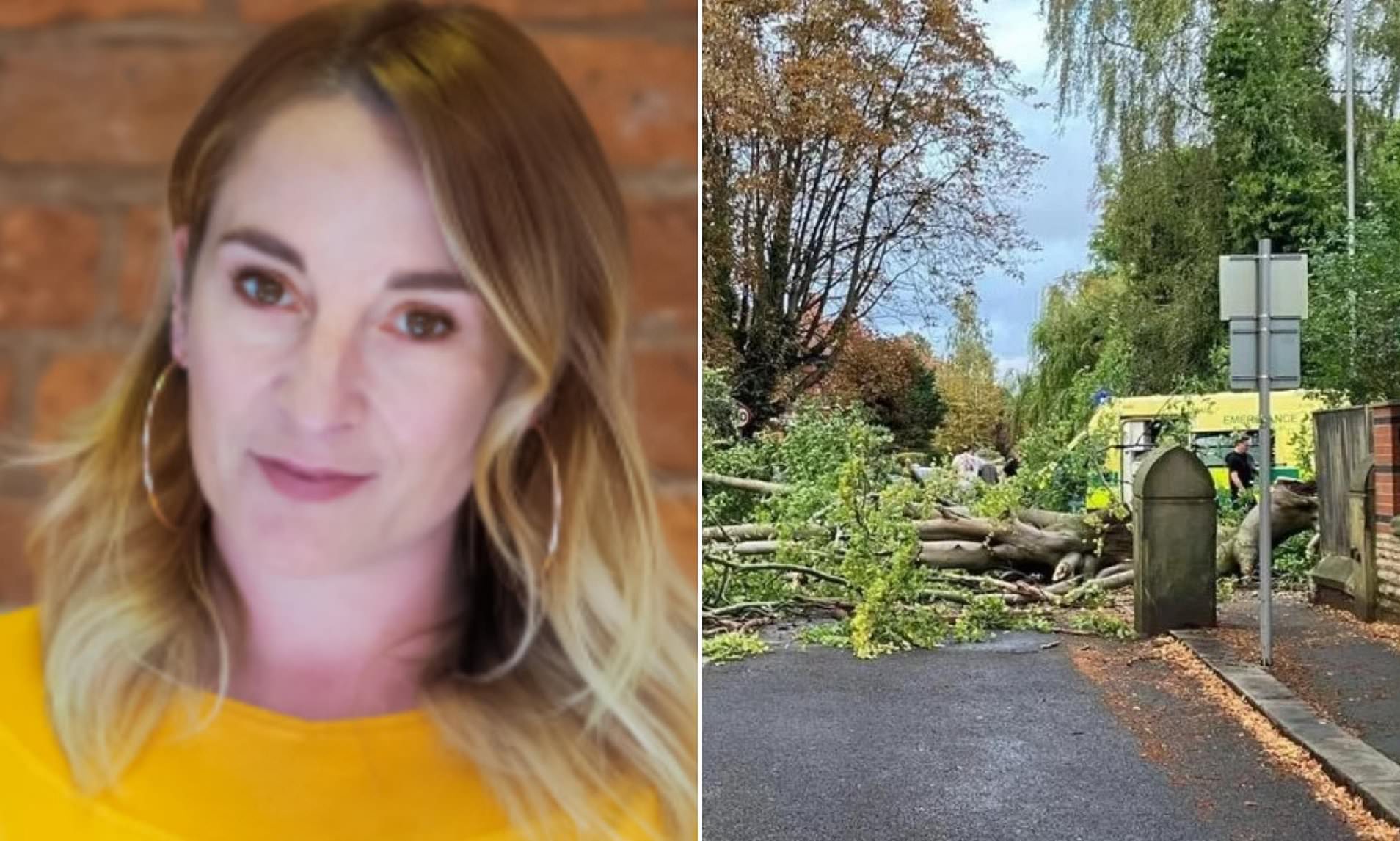 PR boss, 49, was killed after 'taking full force' of huge branch from ...