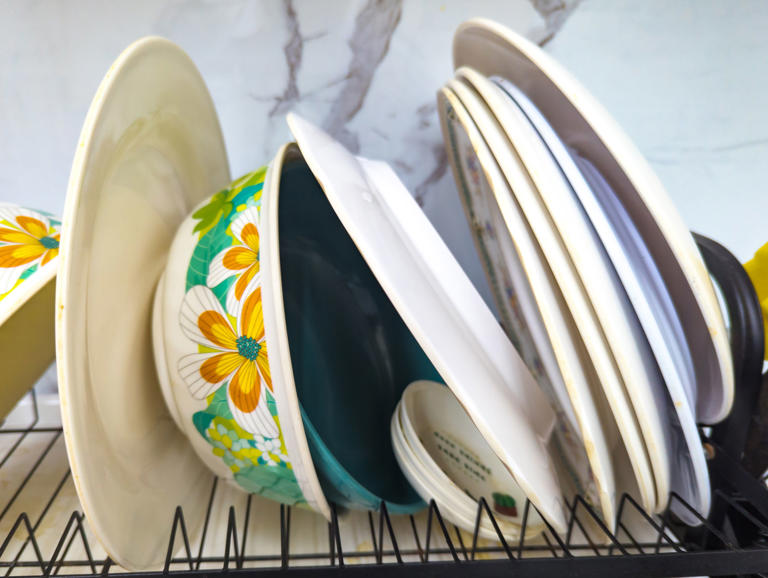 7 surprising places in your kitchen that are secretly harboring mold ...