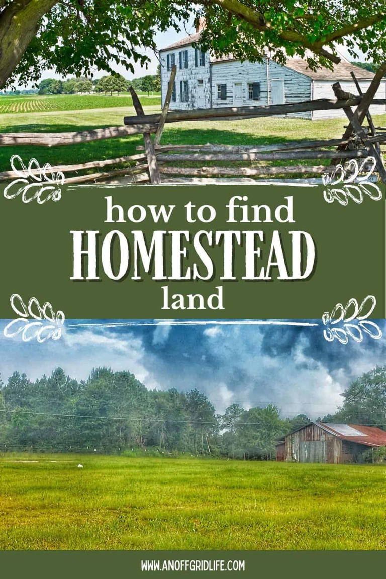 How to find homestead land: The beginner's guide