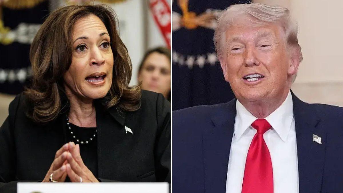 'Cringe': Kamala Harris roasted for 'mob boss' Donald Trump impression ...