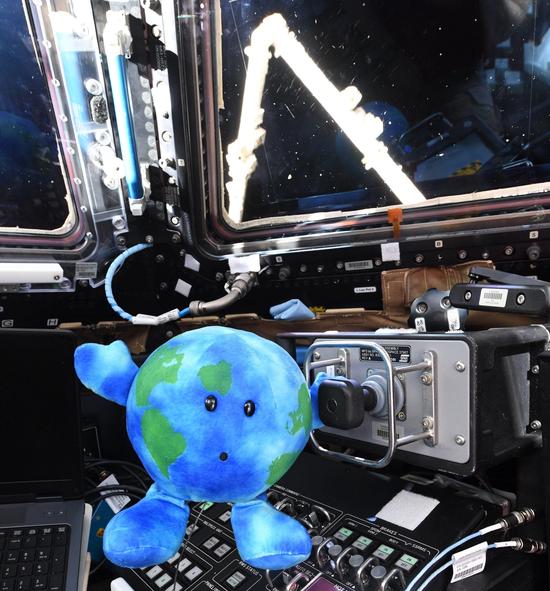 Artemis II moon mascot plushie RISE goes viral. How to get yours