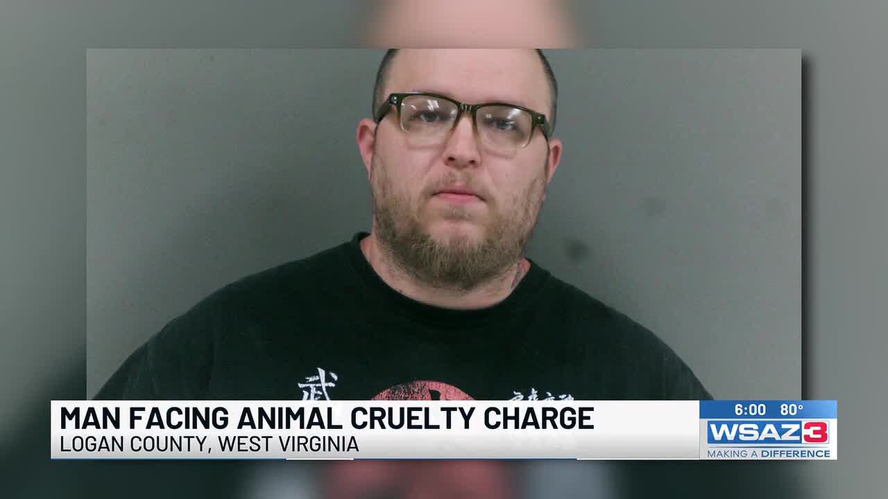 Deputies: Dog beaten to death by neighbor; man facing animal cruelty charge