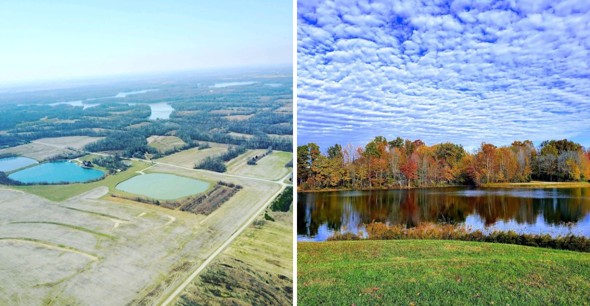 This remote Indiana wildlife area has miles of empty gravel roads ...
