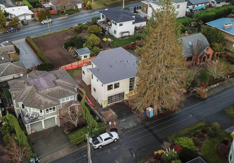 Court of Appeals reopens Edmonds tree mandate case