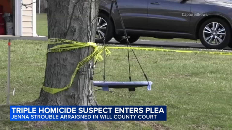 Indiana woman pleads not guilty in deadly Will County triple shooting ...