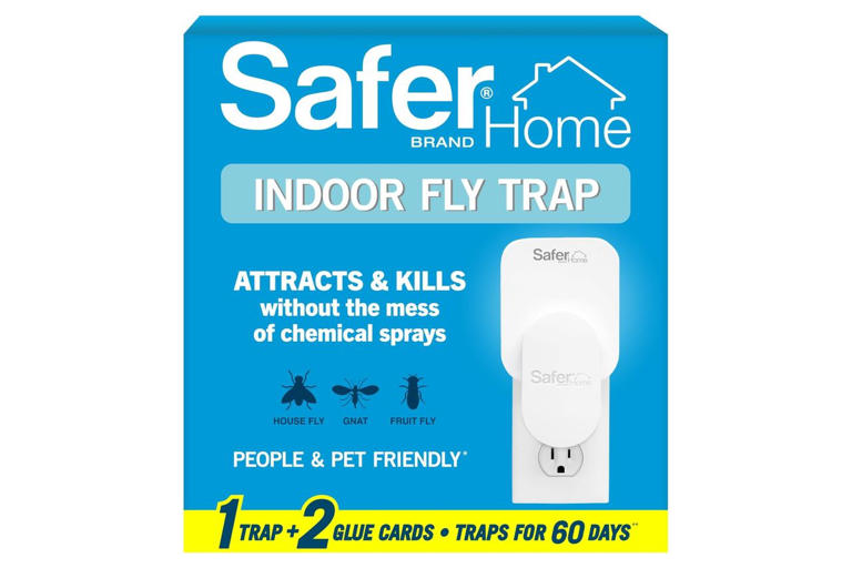 Amazon shoppers say these 'unbelievable' pest traps get rid of gnats ...