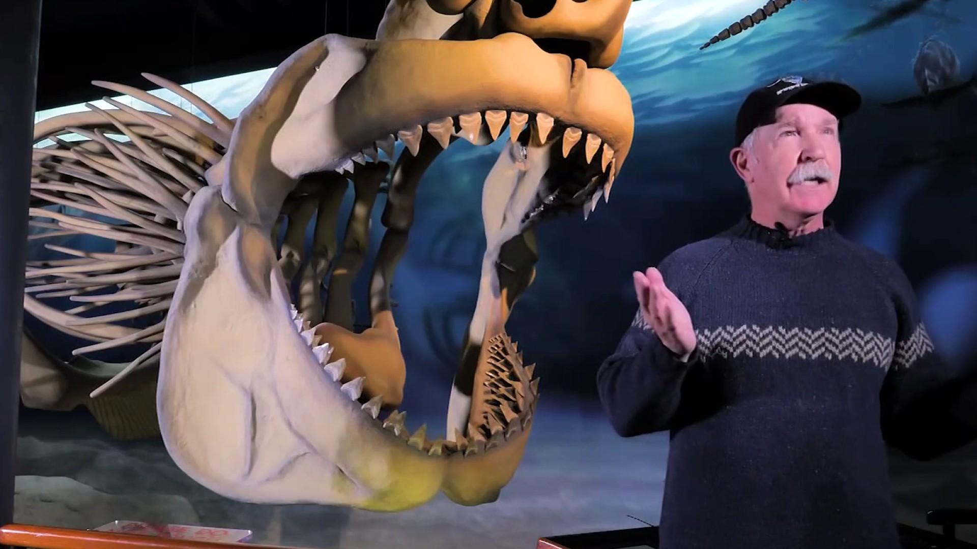 Paleontólogos impulsan al megalodón como tiburón oficial de Maryland