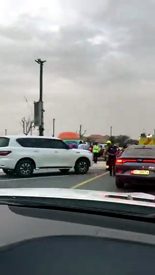 UAE flags