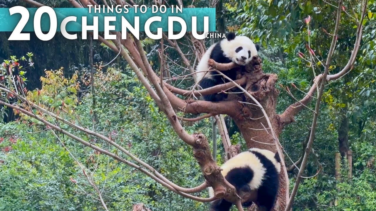 Best things to do in Chengdu China travel guide 2026 4K