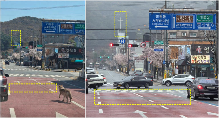 AI fakes: Greater threat than city wolf