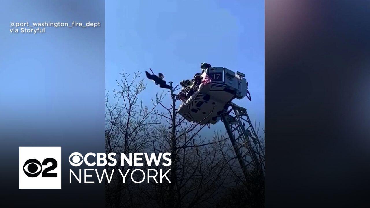 Long Island first responders rescue osprey tangled in fishing line