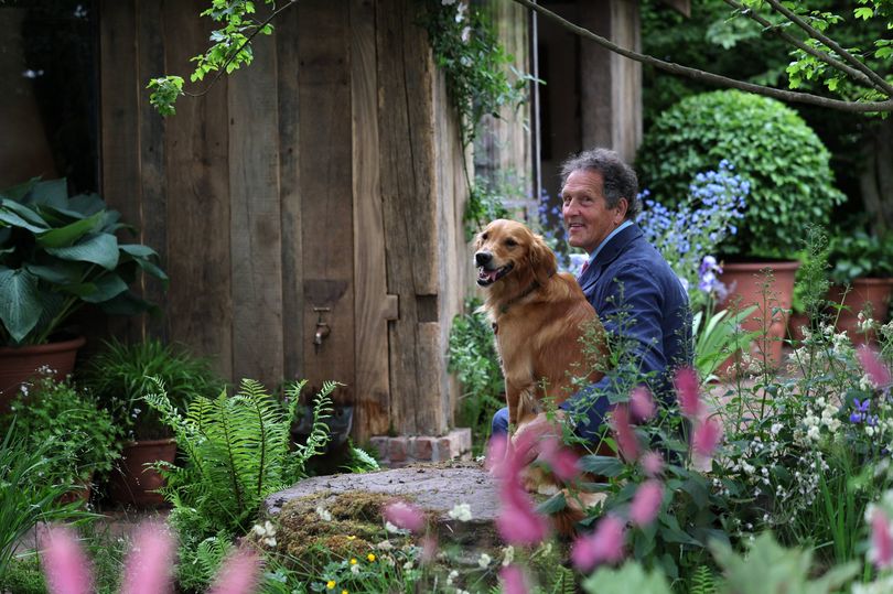 Monty Don's simple guide on how to make grass thrive and get rid of ...