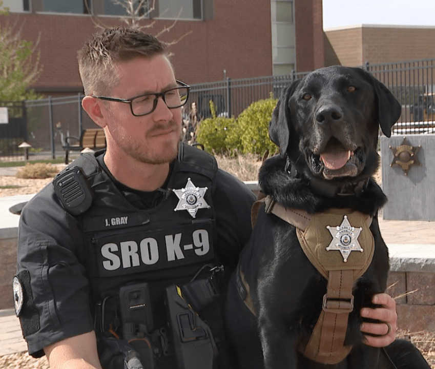 Meet the Colorado K-9 who helped track down a missing girl