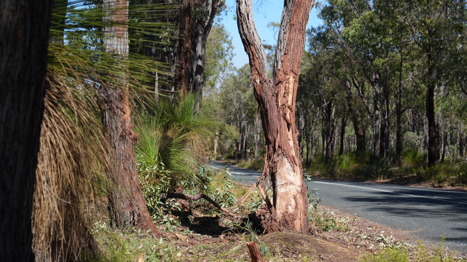 Four dead after fatal crashes on WA roads