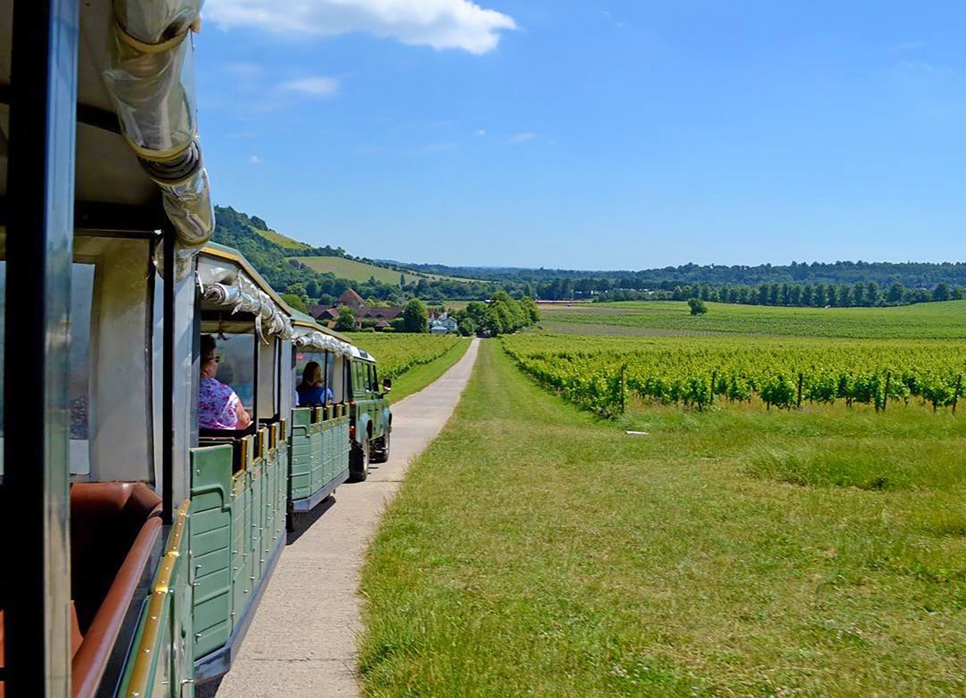 The 'magnificent' £12 vineyard train tour that's just an hour outside ...