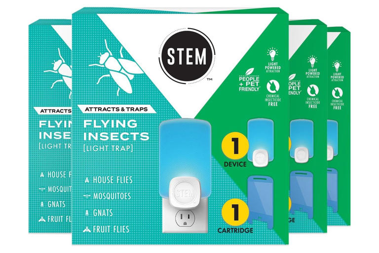 Amazon shoppers say these 'unbelievable' pest traps get rid of gnats ...