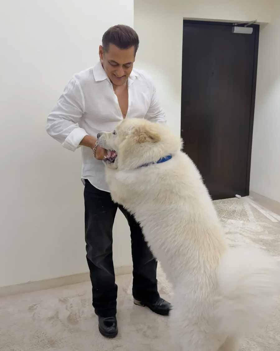 Bollywood stars celebrate National Pet Day with their adorable companions
