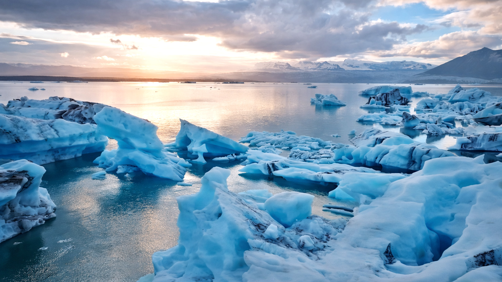 Floating icebergs drifting through a silent glacier lagoon