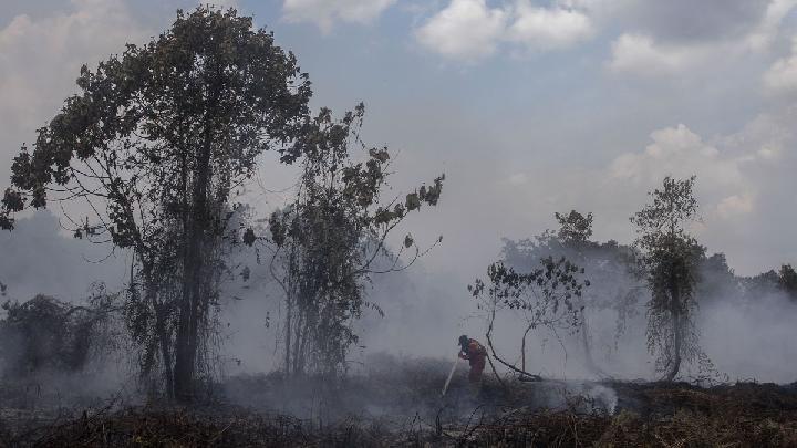 Ancaman karhutla lebih cepat dari datangnya El Nino Godzilla