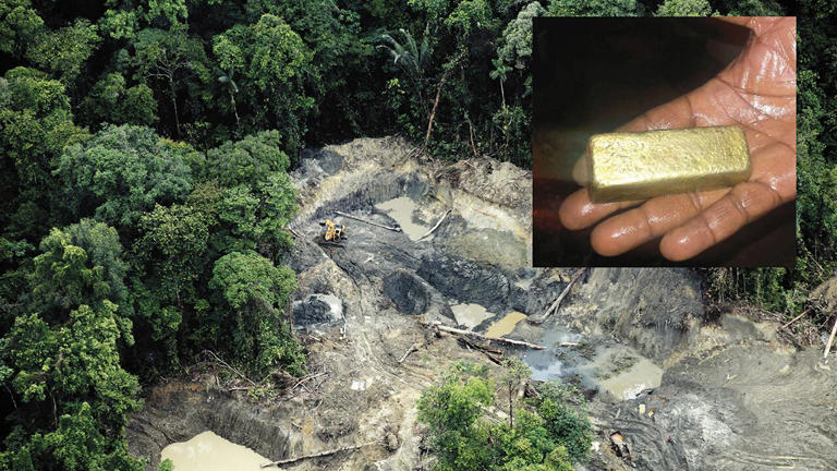 La fiebre del oro tiene a ríos sin agua: depredación histórica en las ...