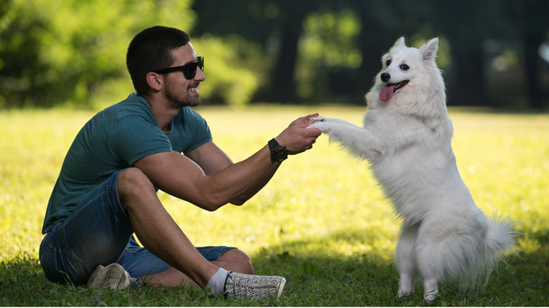 How your dog greets you and what it means emotionally