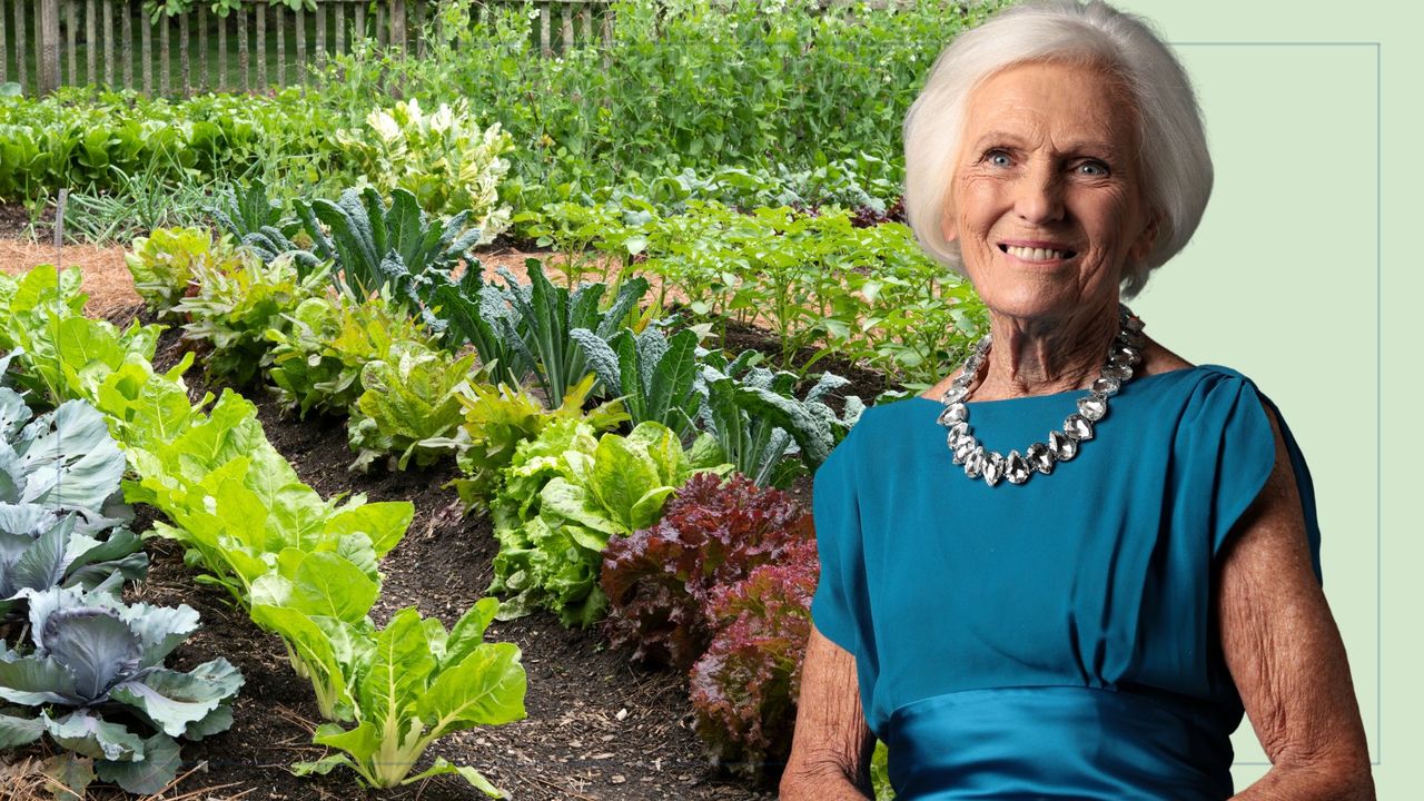 Mary Berry shares her success in growing a surprising new vegetable