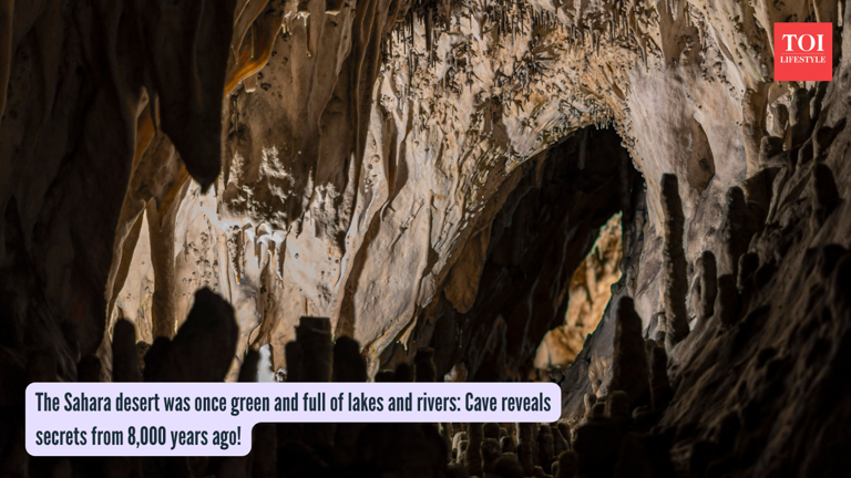 The Sahara desert was once green and full of lakes and rivers: Cave ...