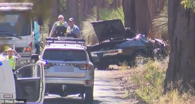 Three dead in horror crash after car veered off the road and hit a tree ...