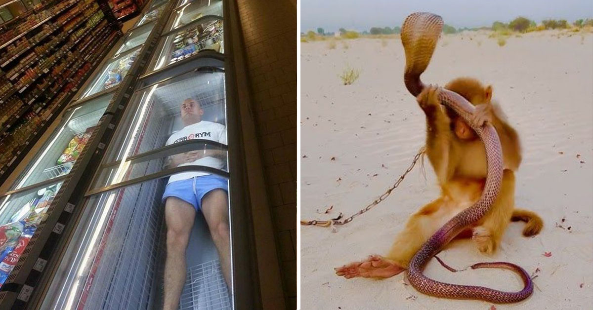 43 random photos to waste all your time
